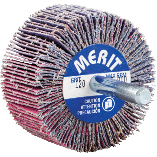 Mini-meule &agrave; lamelles mont&eacute;e sur tige, C&eacute;ramique d'alumine, Grain 120, 2" x 1" x 1/4" Distribution Élite MP
