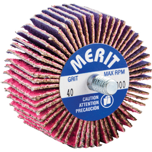 Mini-meule &agrave; lamelles filet&eacute;es, C&eacute;ramique d'alumine, Grain 40, 2" x 1" x 1/4"-20 Distribution Élite MP