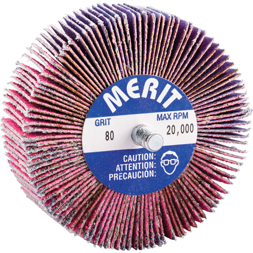 Mini-meule &agrave; lamelles filet&eacute;es, C&eacute;ramique d'alumine, Grain 80, 3" x 1" x 1/4"-20 Distribution Élite MP