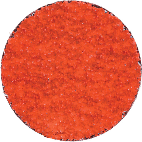 Blaze R980P Quick-Change Cloth Disc, 2" Dia., 36 Grit, Ceramic Alumina Distribution Élite MP