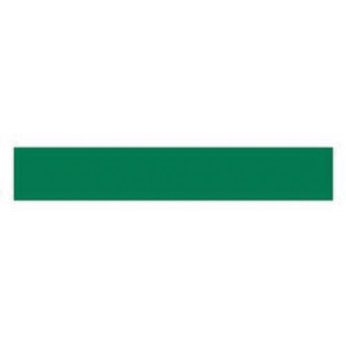 &eacute;tiquette magn&eacute;tique inscriptible, Magn&eacute;tique, 600" lo x 1" la Distribution Élite MP