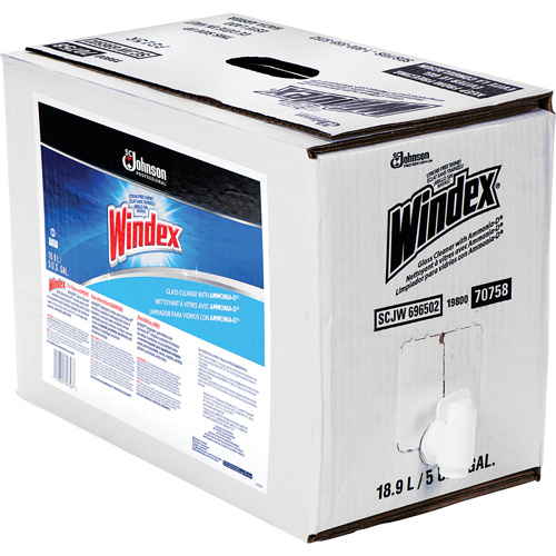 Nettoyant pour vitres Windex avec Ammoniac-D, 5 gal., Sac Distribution Élite MP