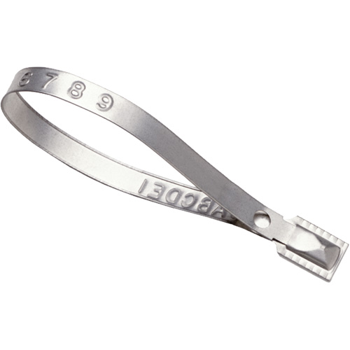 Scell&eacute;s Guard Lock, 8-3/8", M&eacute;tal, Scell&eacute; pour camion Distribution Élite MP