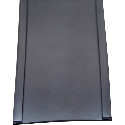 Card Holder, Magnetic, 600" L x 2" W Distribution Élite MP