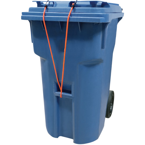 Sangles d'arrimage &eacute;lastiques, 12" Distribution Élite MP