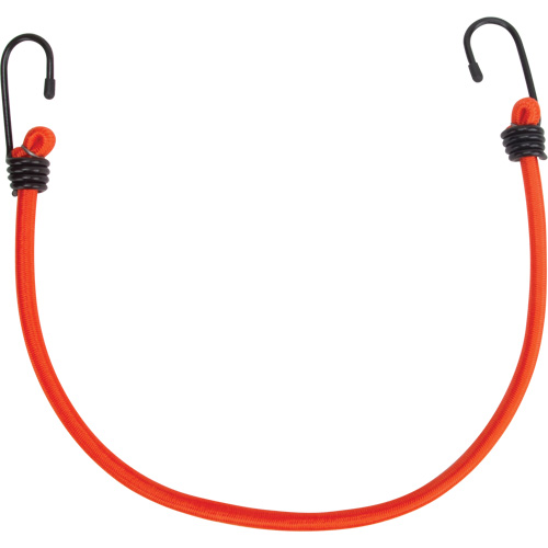 Sangles d'arrimage &eacute;lastiques, 18" Distribution Élite MP