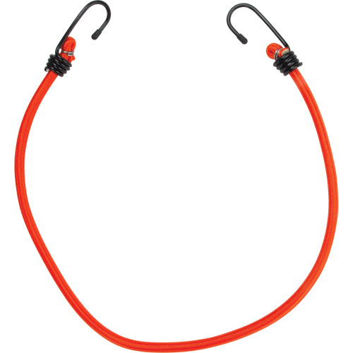 Bungee Cord Tie Downs, 24" Distribution Élite MP
