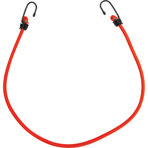 Bungee Cord Tie Downs, 30" Distribution Élite MP
