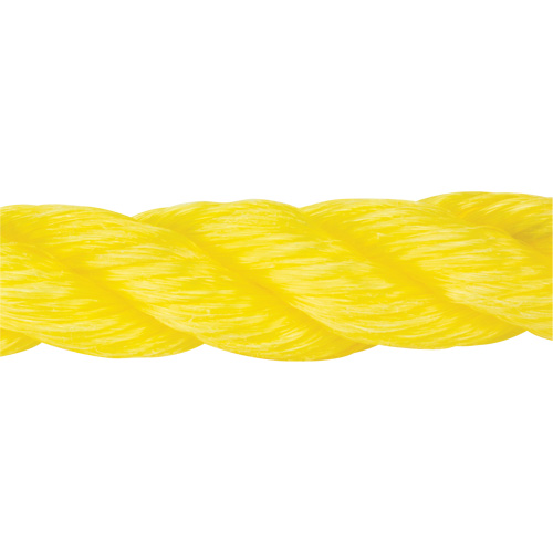 Braided Yellow Rope, Polypropylene, 300' Distribution Élite MP