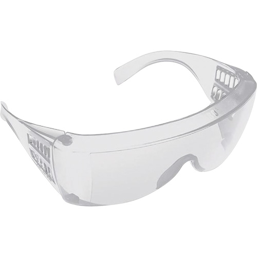 Lunettes pour visiteurs, Lentille Transparent, Anti-&eacute;gratignures/Polaris&eacute;, ANSI Z87+/R&eacute;pond ou surpasse la norme CSA Z94.3 Distribution Élite MP