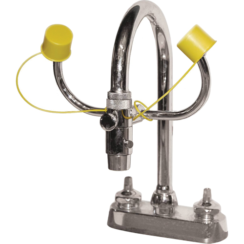 Eyewash Station, Sink Mount Installation Distribution Élite MP