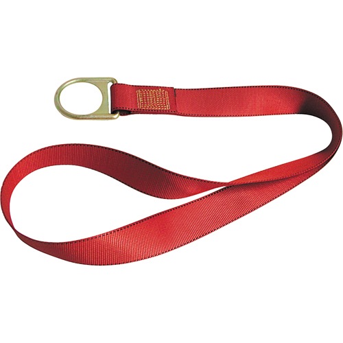 PointGuard Anchorage Connector Straps, D-Ring, Temporary Use Distribution Élite MP