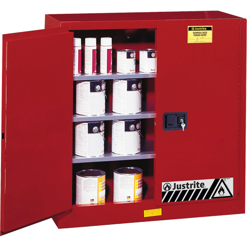 Sure-Grip&reg; EX Combustibles Safety Cabinet for Paint and Ink, 40 gal., 3 Shelves Distribution Élite MP