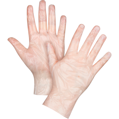 Economy Disposable Gloves, Large, Polyethylene, 1-mil, Powder-Free, Clear Distribution Élite MP