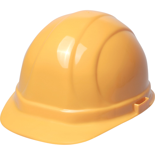 ERB Casque de s&eacute;curit&eacute; Omega II, R&eacute;pond aux normes CSA type 2, Suspension Rochet, Non ventil&eacute; Distribution Élite MP