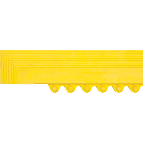 Rampe de bordure pour tapis Distribution Élite MP
