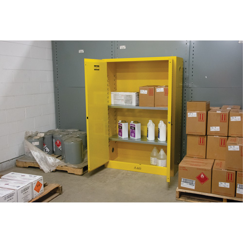 Flammable Storage Cabinet, 45 gal., 2 Door, 43" W x 65" H x 18" D Distribution Élite MP