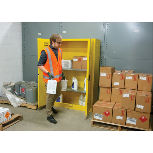 Flammable Storage Cabinet, 45 gal., 2 Door, 43" W x 65" H x 18" D Distribution Élite MP