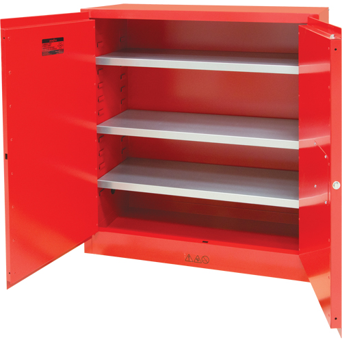 Paint/Ink Cabinet, 45 gal., 3 Shelves Distribution Élite MP