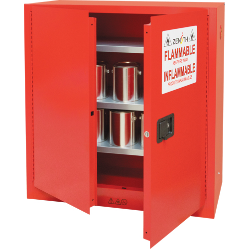 Paint/Ink Cabinet, 45 gal., 3 Shelves Distribution Élite MP