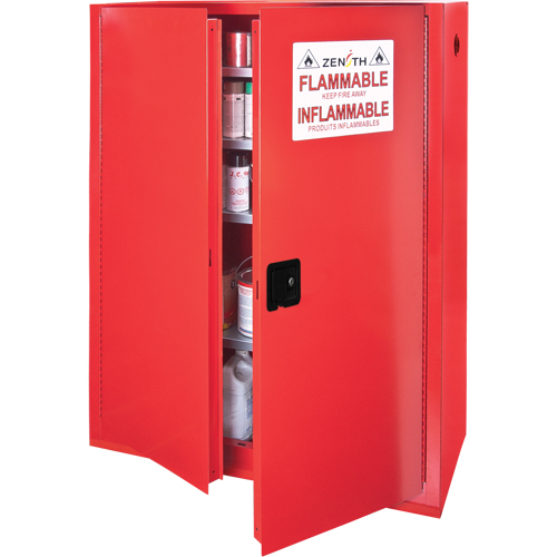 Paint/Ink Cabinet, 60 gal., 5 Shelves Distribution Élite MP