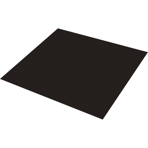 Plaque antid&eacute;rapante Safestep, 47" la x 47" lo, Noir Distribution Élite MP