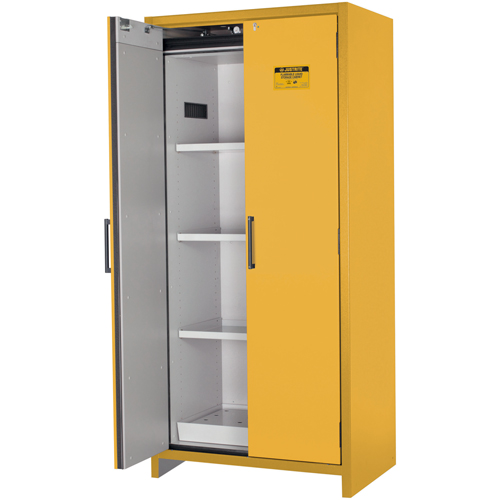Armoire d'entreposage 90 minutes s&eacute;curitaire et conforme &agrave; la norme EN, 30 gal., 2 Porte(s), 35,16" La x 76,89" h x 24,21" p Distribution Élite MP