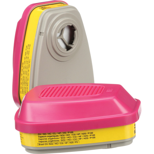 6000 Series Respirator Cartridges, Gas/Vapour Cartridge, Organic Vapour/Acid Gas/P100 Distribution Élite MP