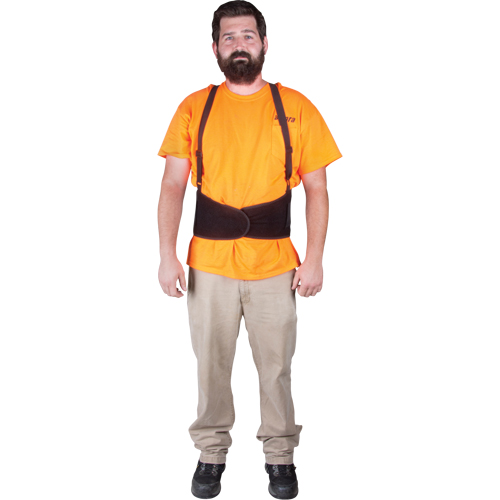 Back Support, Elastic, X-Large Distribution Élite MP