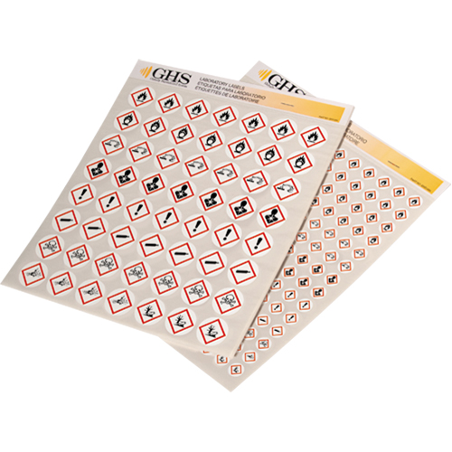 Assortiment d'&eacute;tiquettes avec pictogrammes sgh, Vinyle, Feuille, 1" lo x 1" la Distribution Élite MP