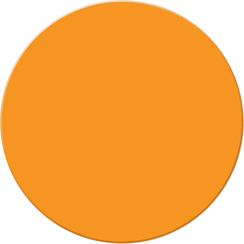 Armor Stripe Lean/5S Markers, Circle, 6" L x 6" W, Orange, Plastic Distribution Élite MP