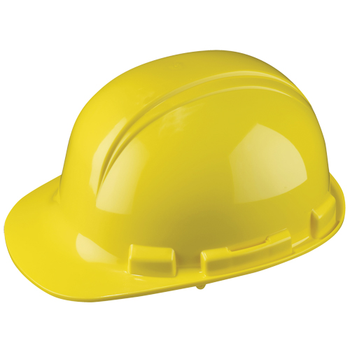 Casque de s&eacute;curit&eacute; Whistler de North, R&eacute;pond aux normes CSA type 1, Suspension &agrave; douille, Non ventil&eacute; Distribution Élite MP