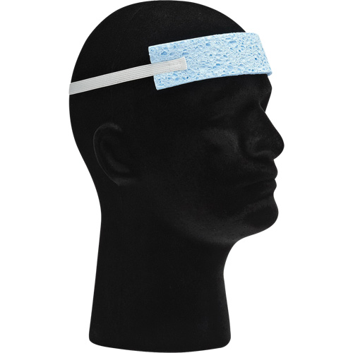 North&reg; Foam Sweat Band with Elastic Head Strap Distribution Élite MP