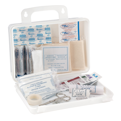 Trousse de premiers soins pour camion Dynamic, Dispositif m&eacute;dical Classe 1, Boîte en plastique Distribution Élite MP