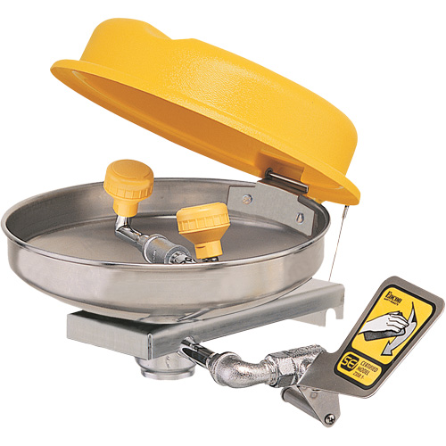 Poste de douche oculaire, Installation Montage mural, Bol Acier inoxydable Distribution Élite MP