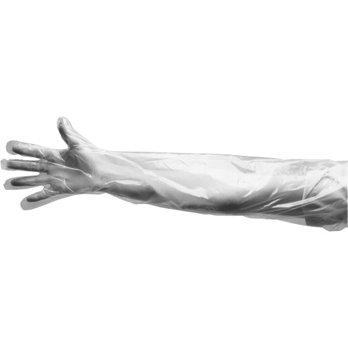 Disposable Gloves, Large, Polyethylene, 9-mil, Powdered, Clear Distribution Élite MP