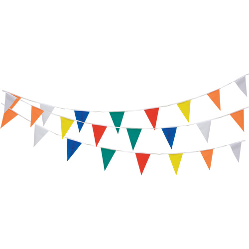 Pennant String, 60' L, Multicolour Distribution Élite MP