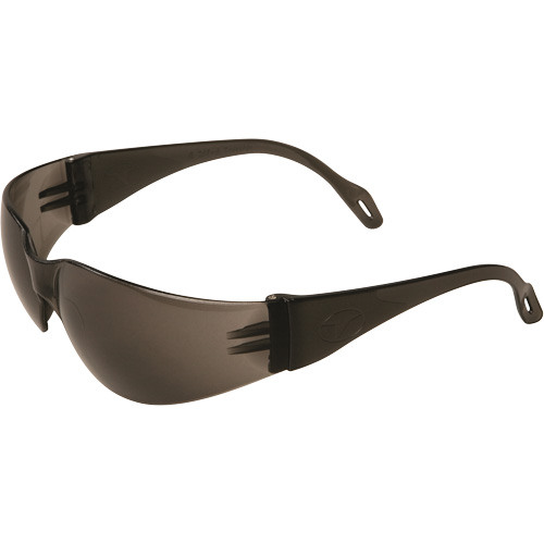 Veratti&reg; 2000 Safety Glasses, Grey/Smoke Lens, Anti-Fog, ANSI Z87+/Meets/Exceeds CSA Z94.3 Distribution Élite MP