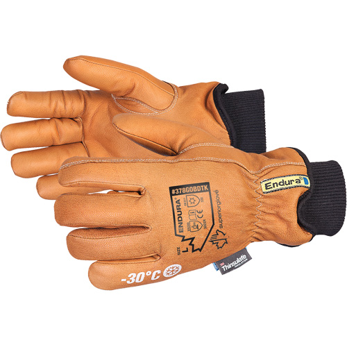 Gants de conducteur de luxe pour l'hiver Endura, T-petit, Paume en Cuir fleur de ch&egrave;vre, Thinsulate Distribution Élite MP