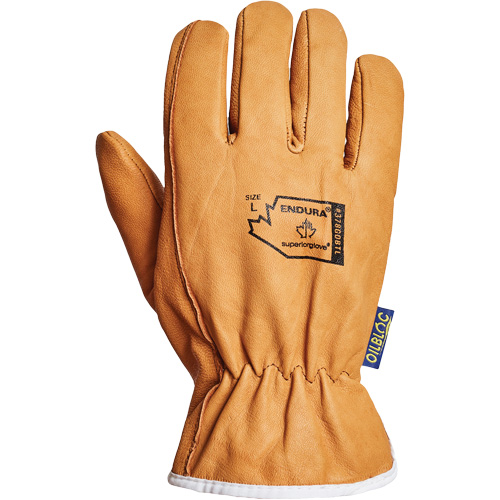 Gants de conducteur Endura, Petit, Paume en Cuir fleur de ch&egrave;vre, Thinsulate Distribution Élite MP