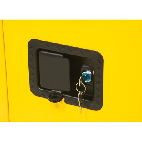 Flammable Storage Cabinet, 30 gal., 2 Door, 43" W x 44" H x 18" D Distribution Élite MP