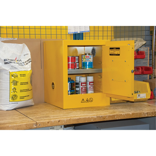 Armoire pour produits inflammables, 4 gal., 1 Porte(s), 17" La x 22" h x 18" p Distribution Élite MP