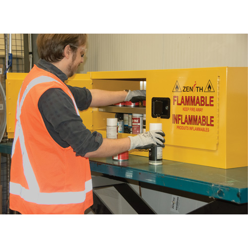 Armoire pour produits inflammables, 12 gal., 2 Porte(s), 43" La x 18" h x 18" p Distribution Élite MP