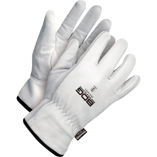 Gants de conducteur classiques r&eacute;sistant &agrave; la perforation, Grand, Paume en Cuir fleur de ch&egrave;vre, Thinsulate Distribution Élite MP