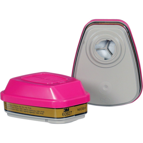 Cartouche, Combinaison cartouche et filtre contre les particules pour gaz/vapeurs, Gaz multiples/Vapeurs/P100 Distribution Élite MP