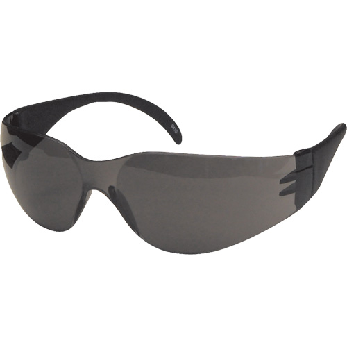CeeTec Safety Glasses, Grey Lens, Anti-Scratch, Meets/Exceeds CSA Z94.3 Distribution Élite MP