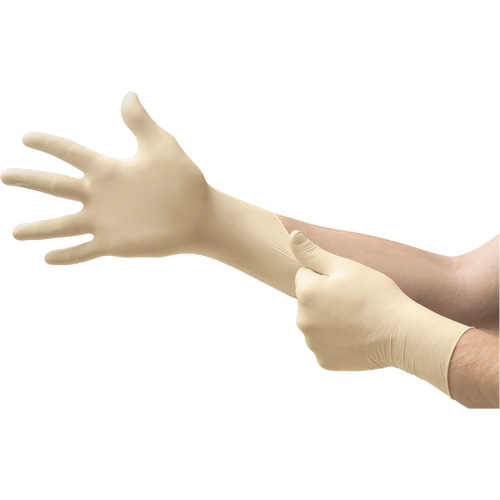 Gants d'examen MICROFLEX Ultra One, 6,5/7/Petit, Latex, 9,8 mils, Sans poudre, Naturel, Classe 2 Distribution Élite MP