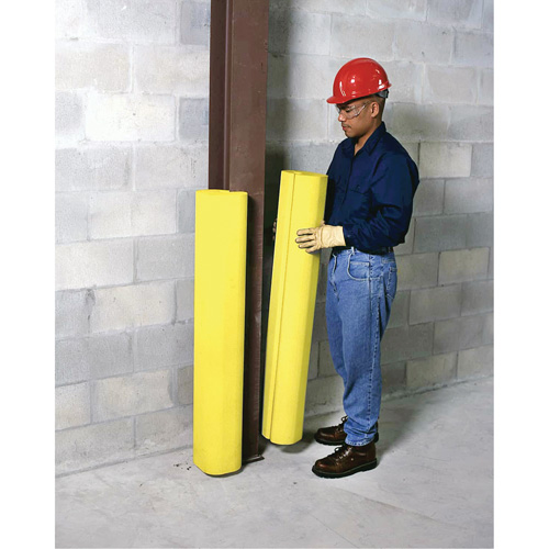 Ultra-I-Beam Protector&reg; Distribution Élite MP