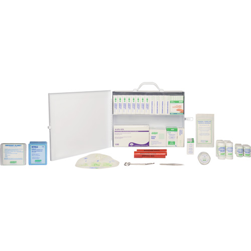 Trousse de premiers soins, R&eacute;pond &agrave; la norme CSA Z1220-17 type 2 environnements &agrave; faible risque, Grand (51-100 travailleurs) Distribution Élite MP