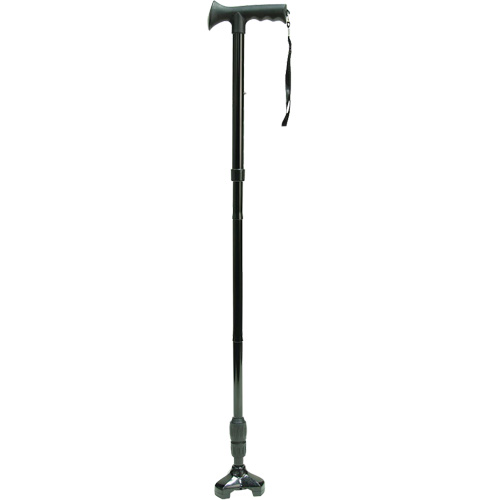 Wondercane Distribution Élite MP